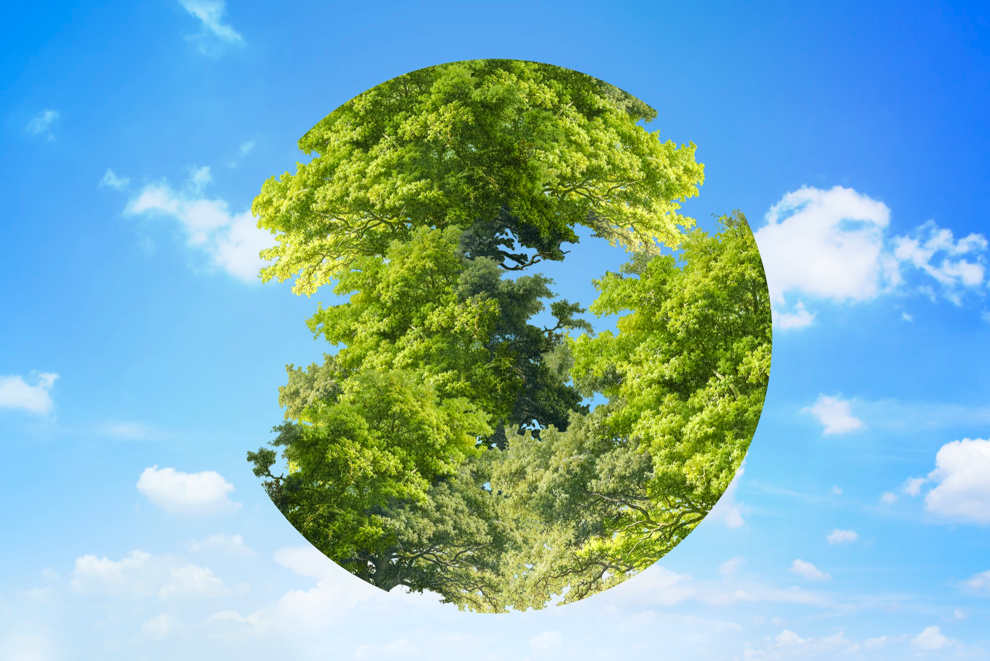 Environmental Impact Assessment Company and EIA Consultant South Africa
